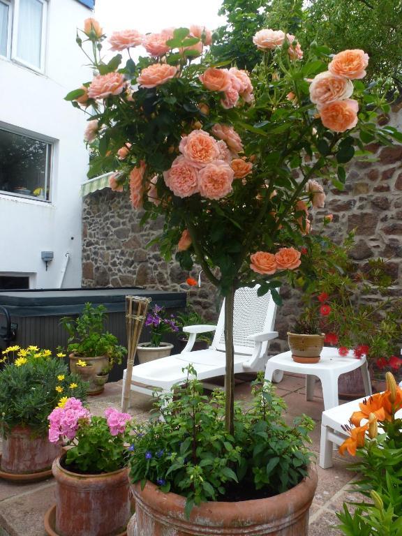 Bayview Guest House Saint Helier Ngoại thất bức ảnh