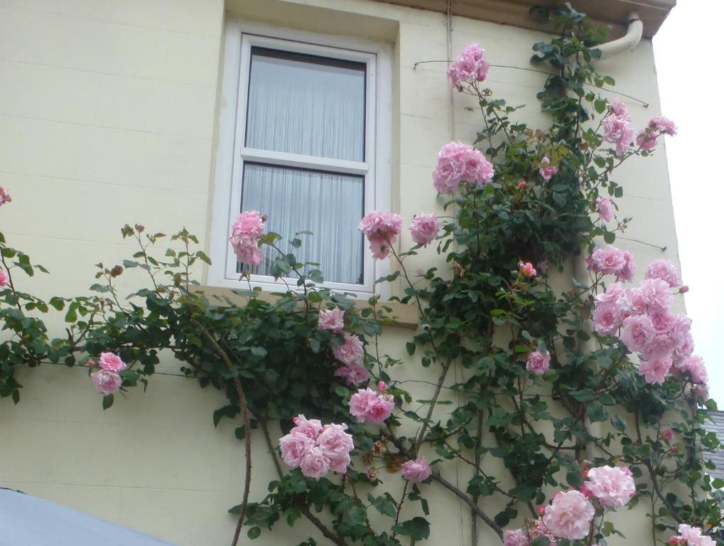 Bayview Guest House Saint Helier Ngoại thất bức ảnh